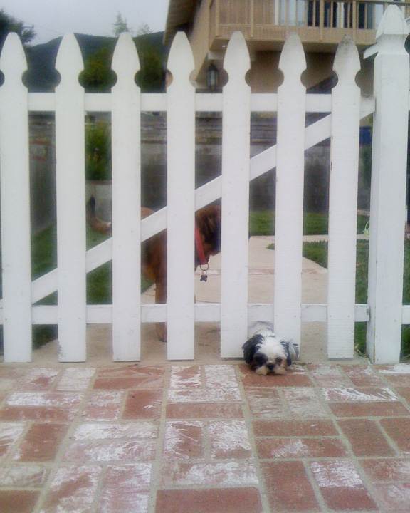 Images from Home