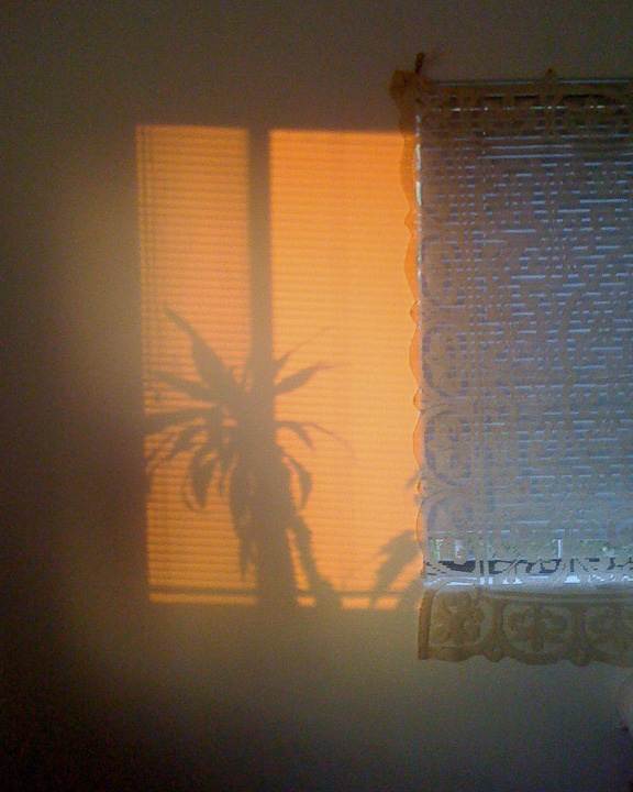 Images from Home
