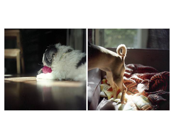 Images from Home
