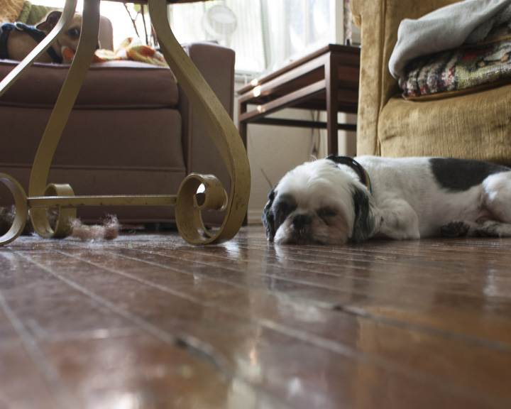 Images from Home