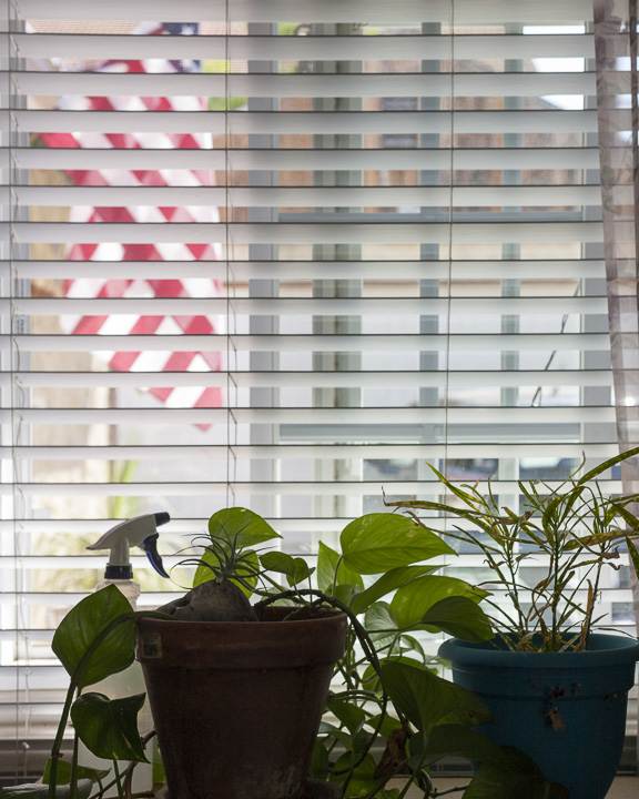 Images from Home